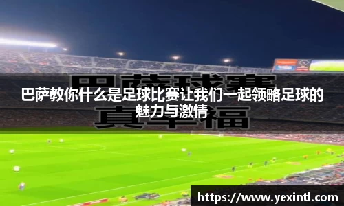 BB贝博登录入口