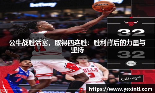 BB贝博登录入口