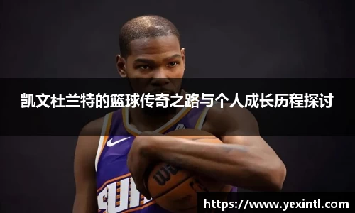 BB贝博登录入口