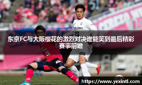 BB贝博登录入口