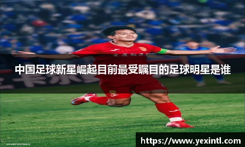 BB贝博登录入口